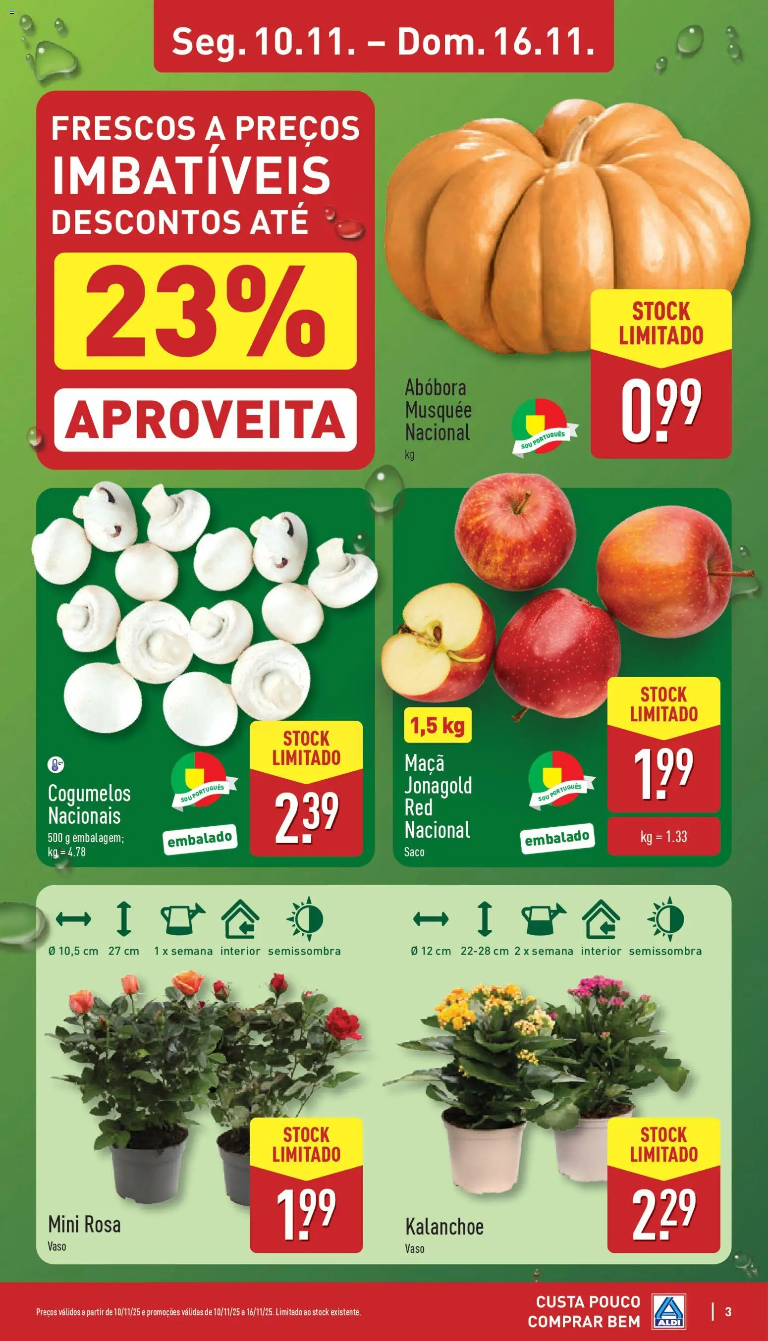 Aldi folheto │ válido de 10.11.2025 | Página: 3 | Produtos: Maça, Vaso, Abóbora, Cogumelos
