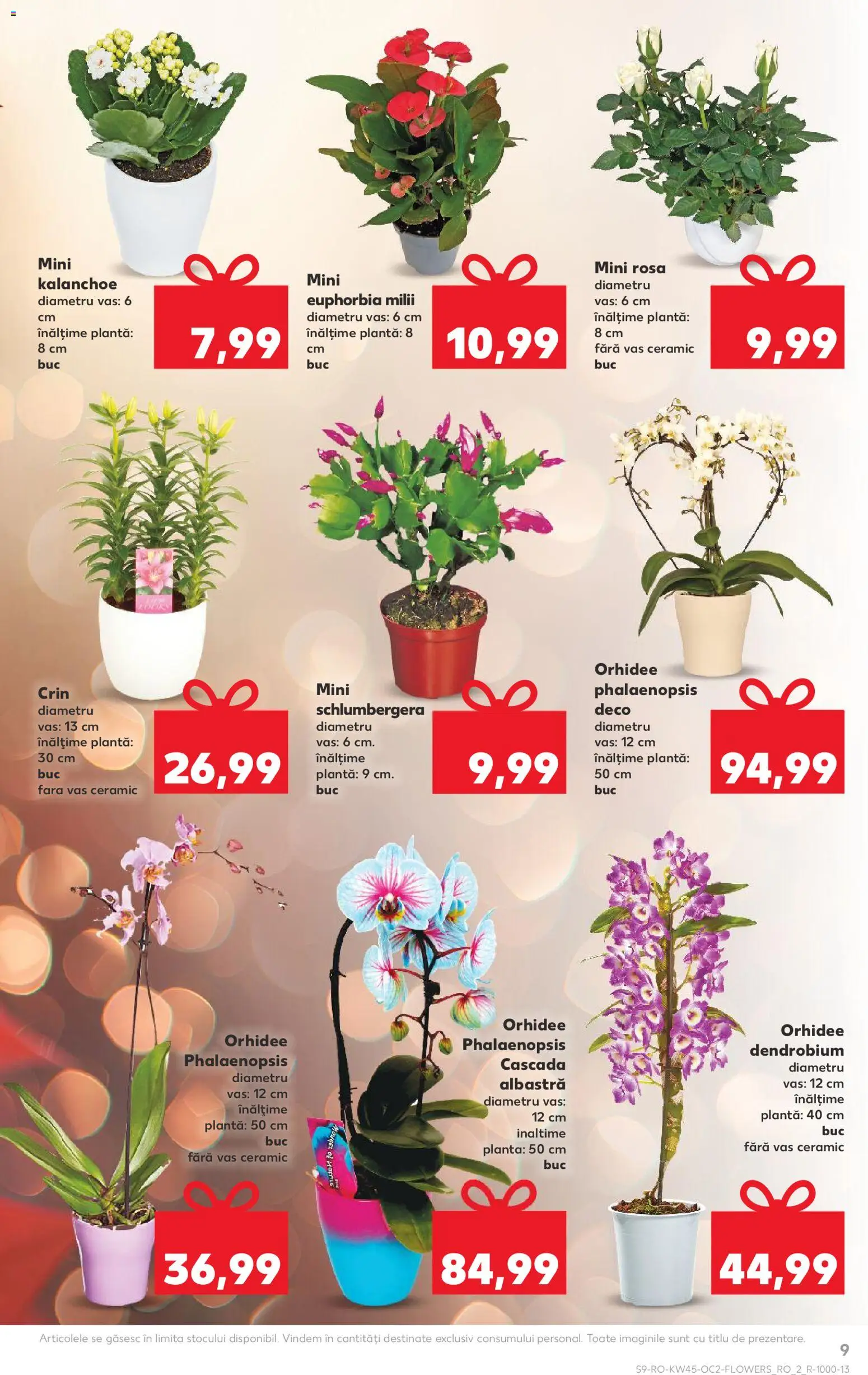 Kaufland RO akciós ujság - amely érvényes a következő dátumtól: 05.11.2025 | Oldal: 9