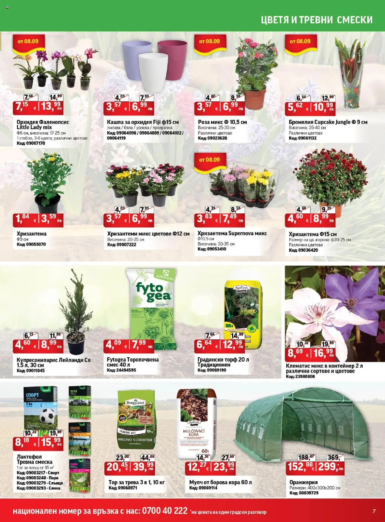  | Страница: 7 | Продукти: Кашпа, Орхидея, Контейнер, Роза
