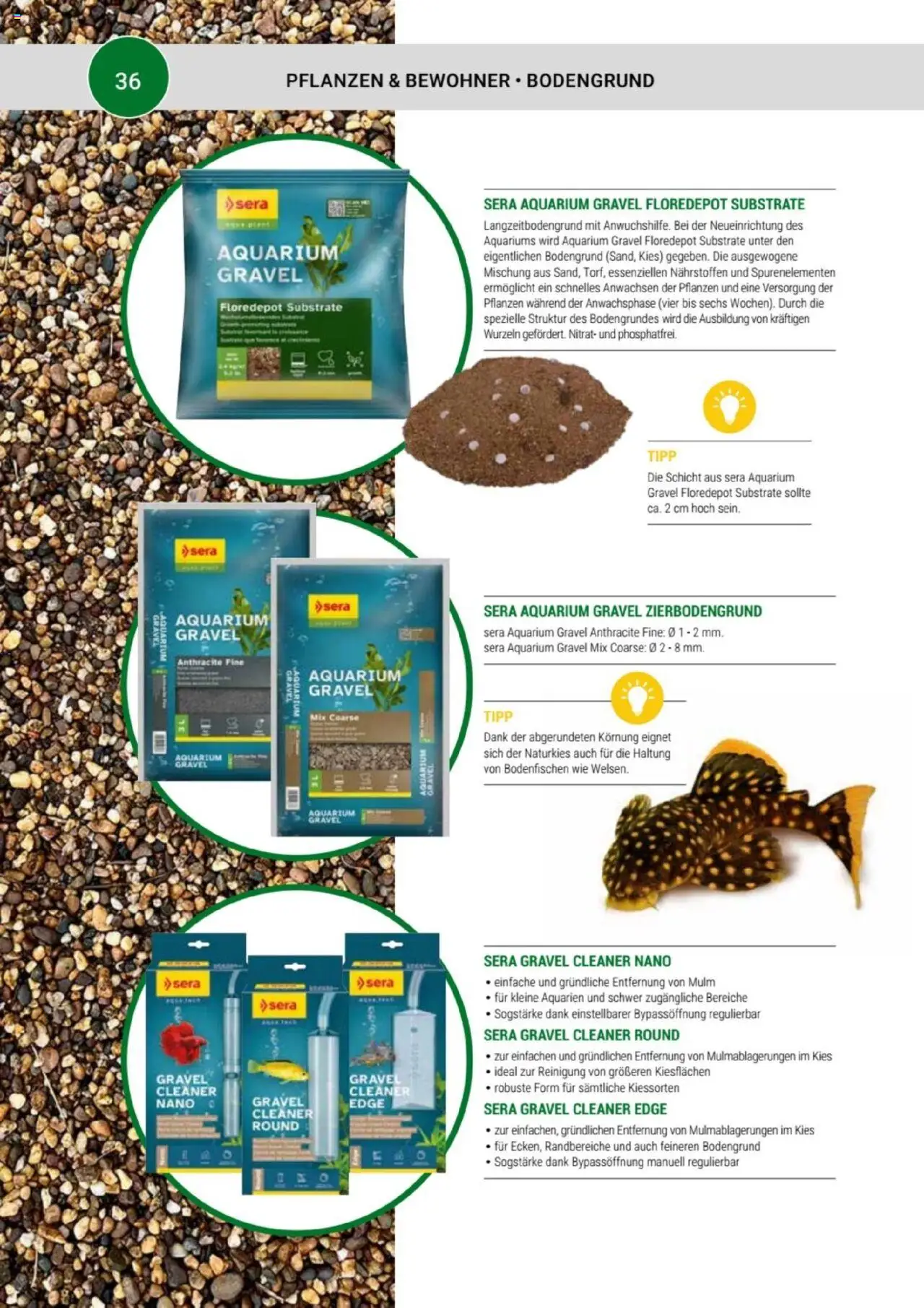 zookauf Themenkatalog Aquaristik – gültig ab 01.10.2025 | Seite: 36