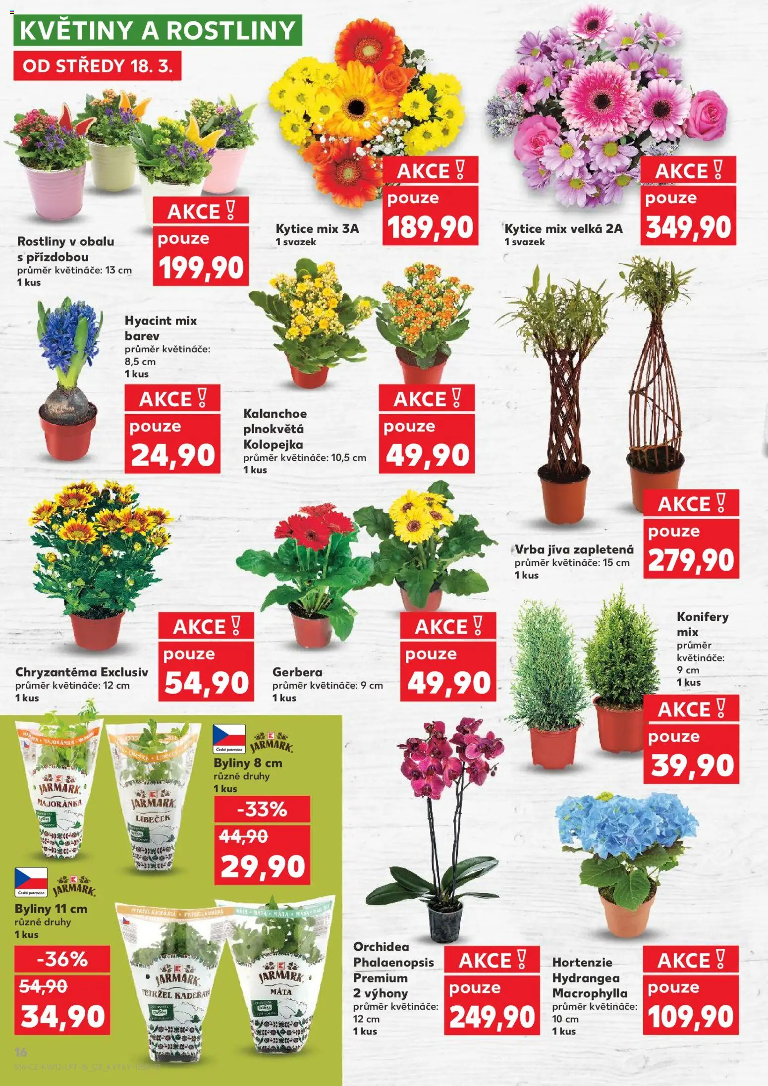 Kaufland leták - Chomutov od 18.03.2026 | Strana: 16 | Produkty: Květináče, Rostliny, Petržel, Kytice