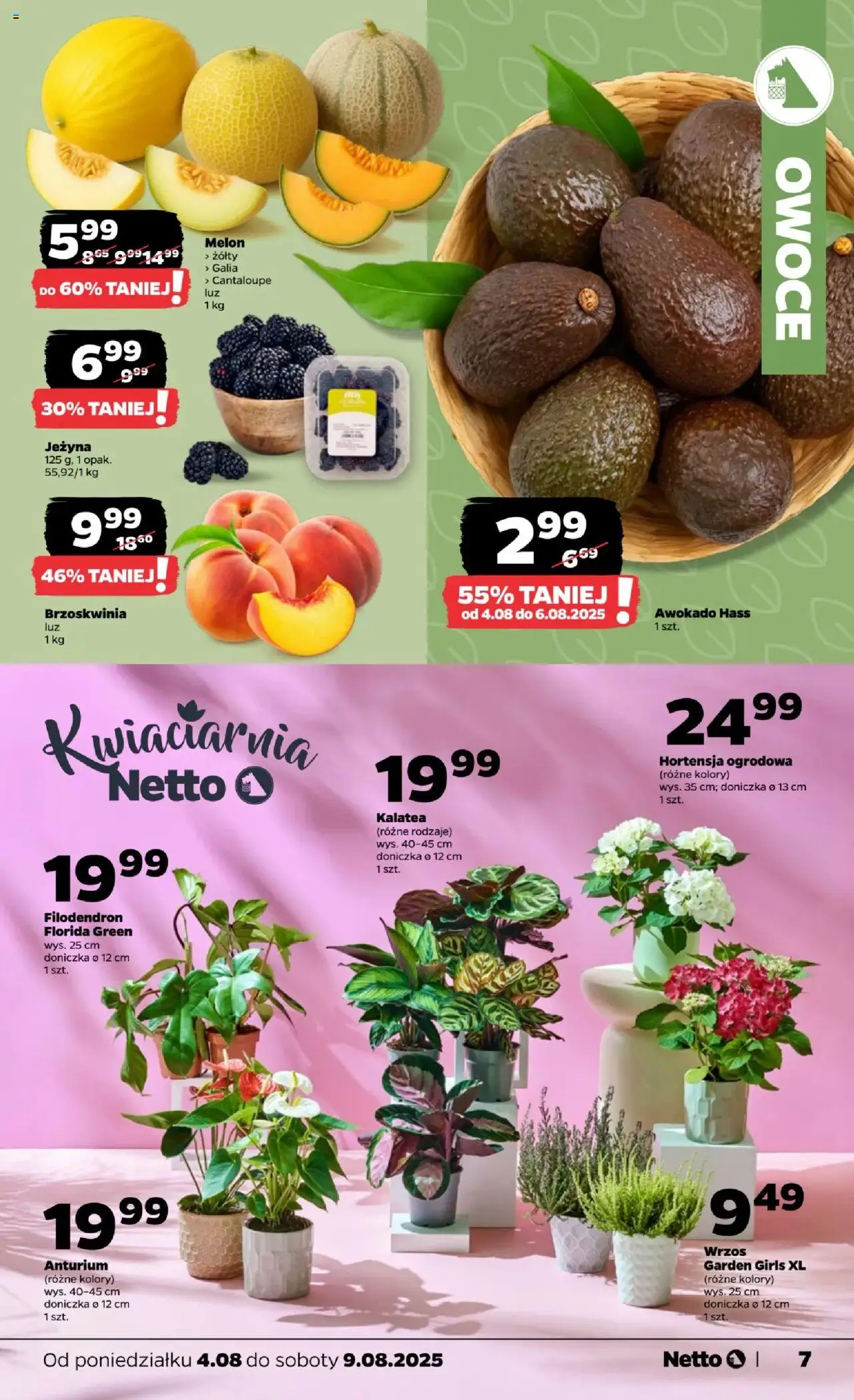 Netto gazetka - Spożywcza od 04.08.2025 | Strona: 7 | Produkty: Brzoskwinia, Kalatea, Wrzos, Owoce