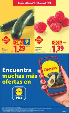 Vista previa Calabacín, Categoría: I. A granel válido desde el 13.04.2026 | Página: 5