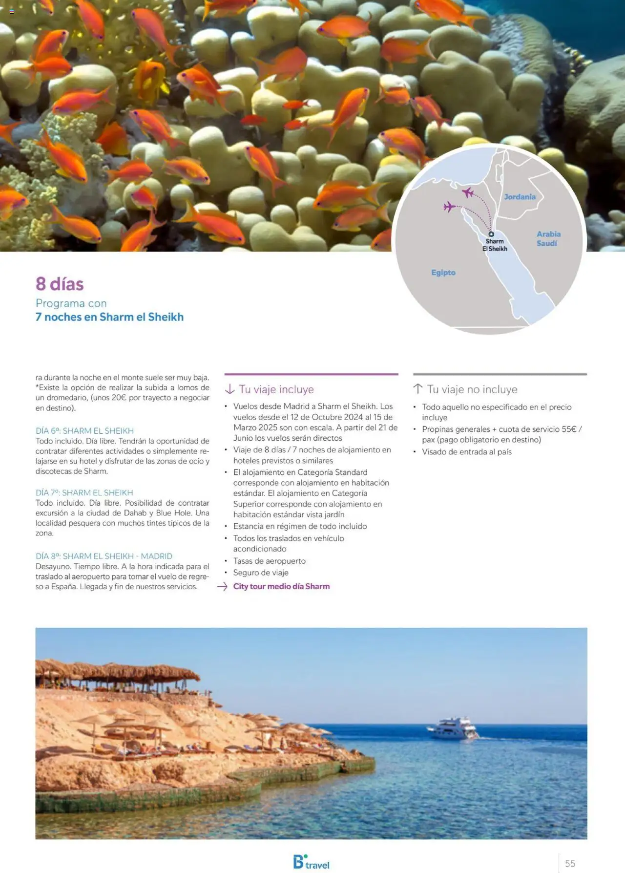 B the travel brand Egipto │ válido desde el 01.07.2025 | Página: 55