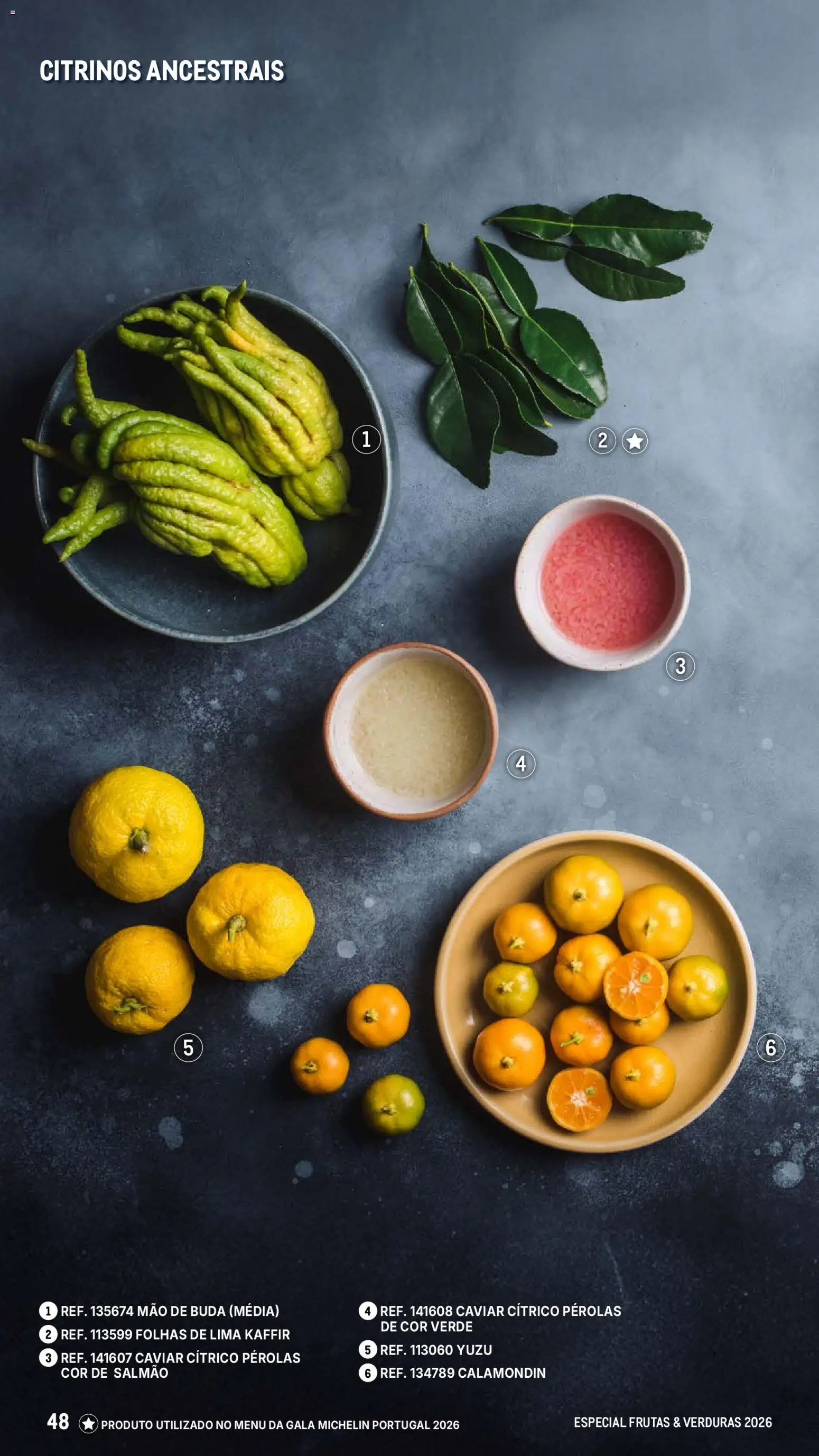 Makro Especial Frutas e Verduras 2026 │ válido de 06.03.2026 | Página: 48 | Produtos: Salmão