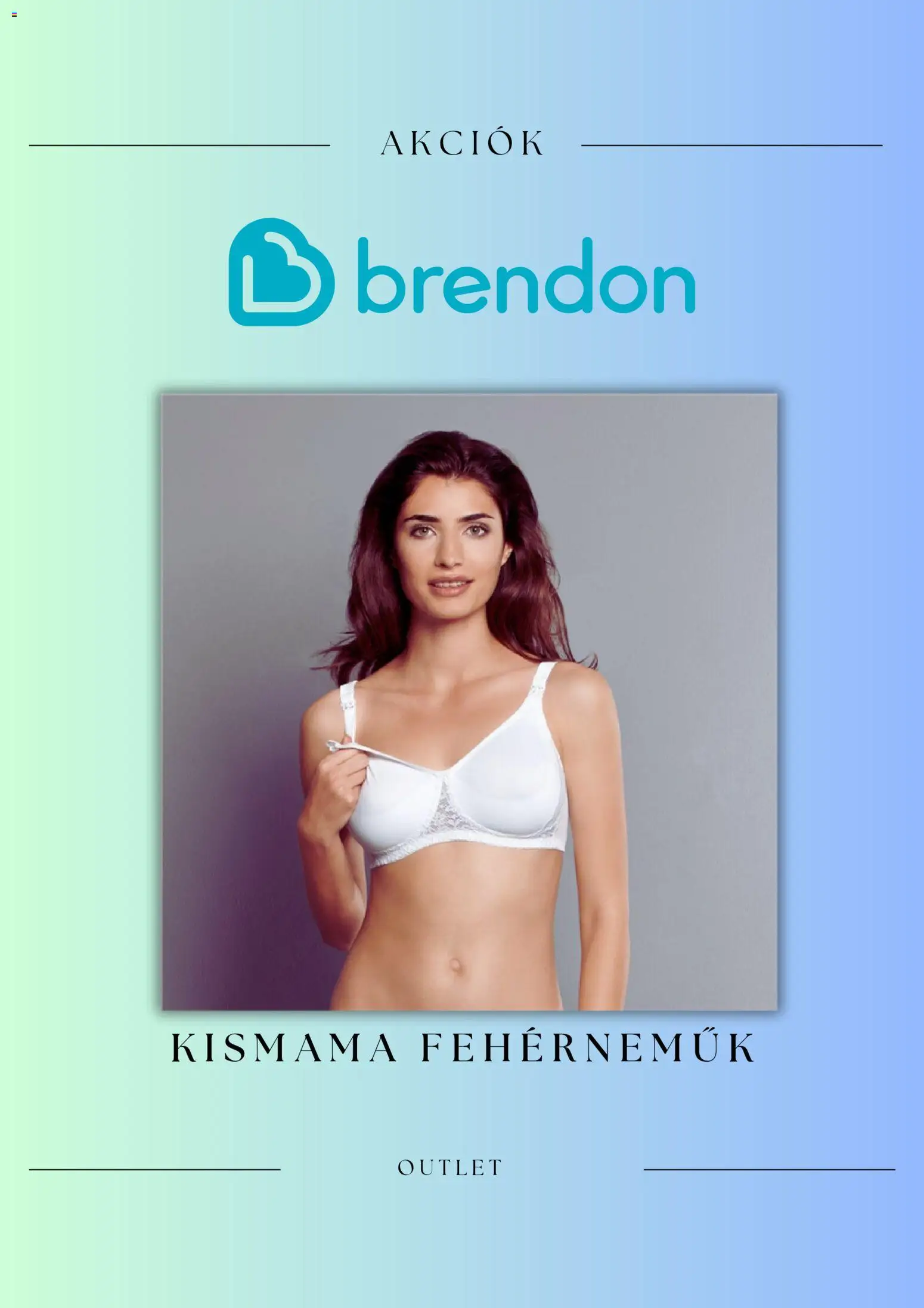 Brendon akciós ujság - amely érvényes a következő dátumtól: 13.11.2025 | Oldal: 1