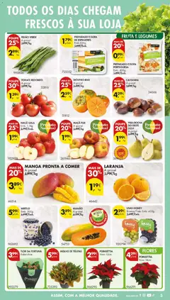 Pré-visualização TOMATE REDONDO, A granel válido de 11.11.2025 | Página: 5