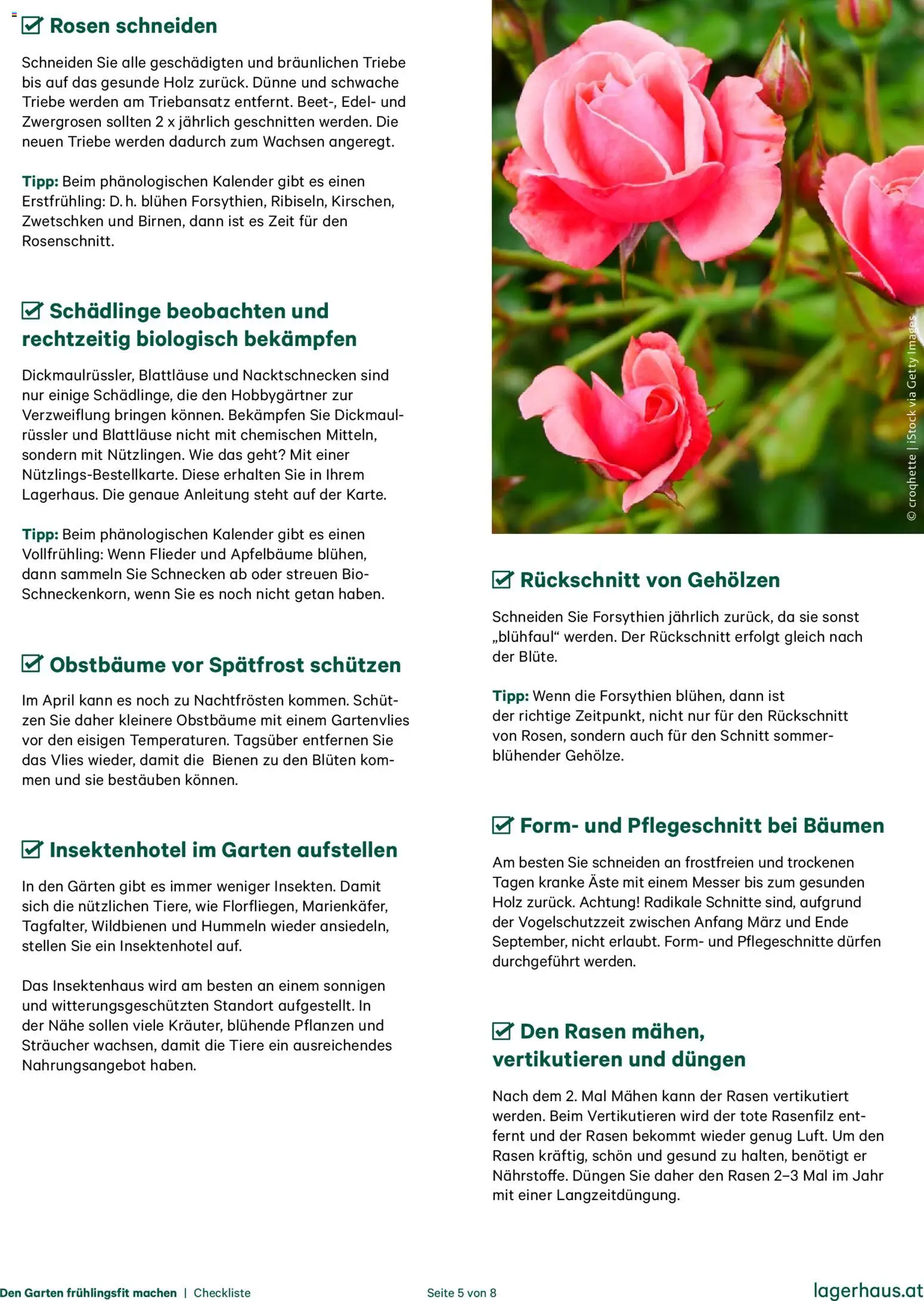 Lagerhaus  Den Garten fruehlingsfit machen gültig ab 01.01.2026 | Seite: 5