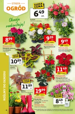 Pogląd oferty "Auchan gazetka - 30 Lat Hipermarket" - ważna od 29.04.2026 | Strona: 4 | Produkty: Goździki, Stokrotka, Rosliny