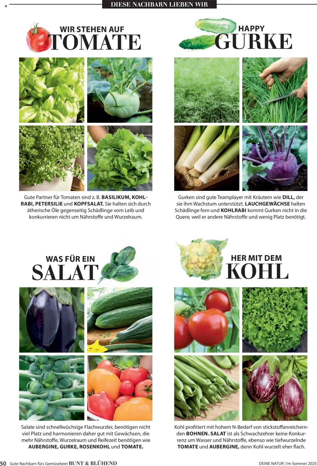 Dehner Prospekt - Deine Natur – gültig ab 23.04.2025 | Seite: 50 | Produkte: Tomaten, Wasser, Petersilie, Salat