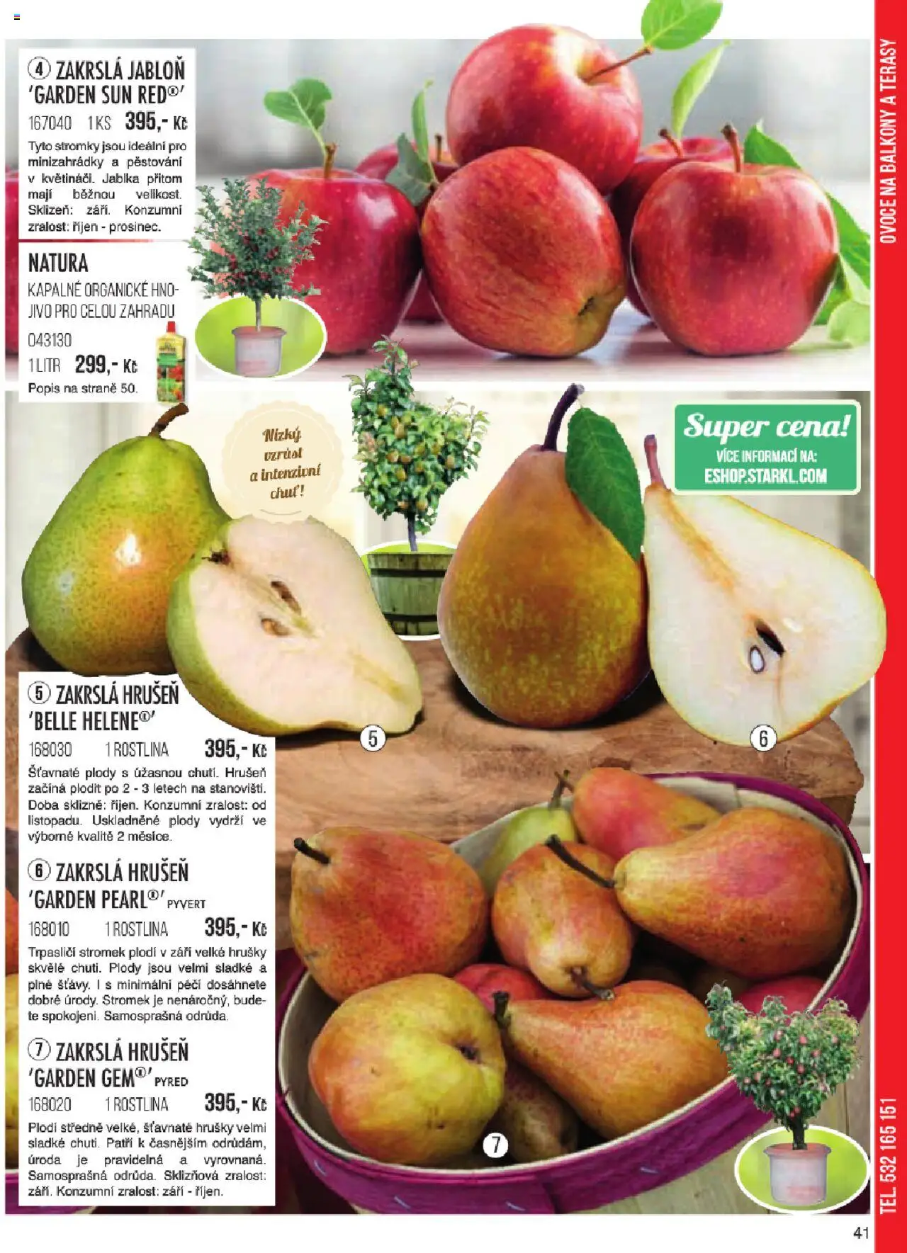 Starkl katalog jaro 2024 od 06.01.2025 | Strana: 41 | Produkty: Ovoce, Jablka, Hrušky