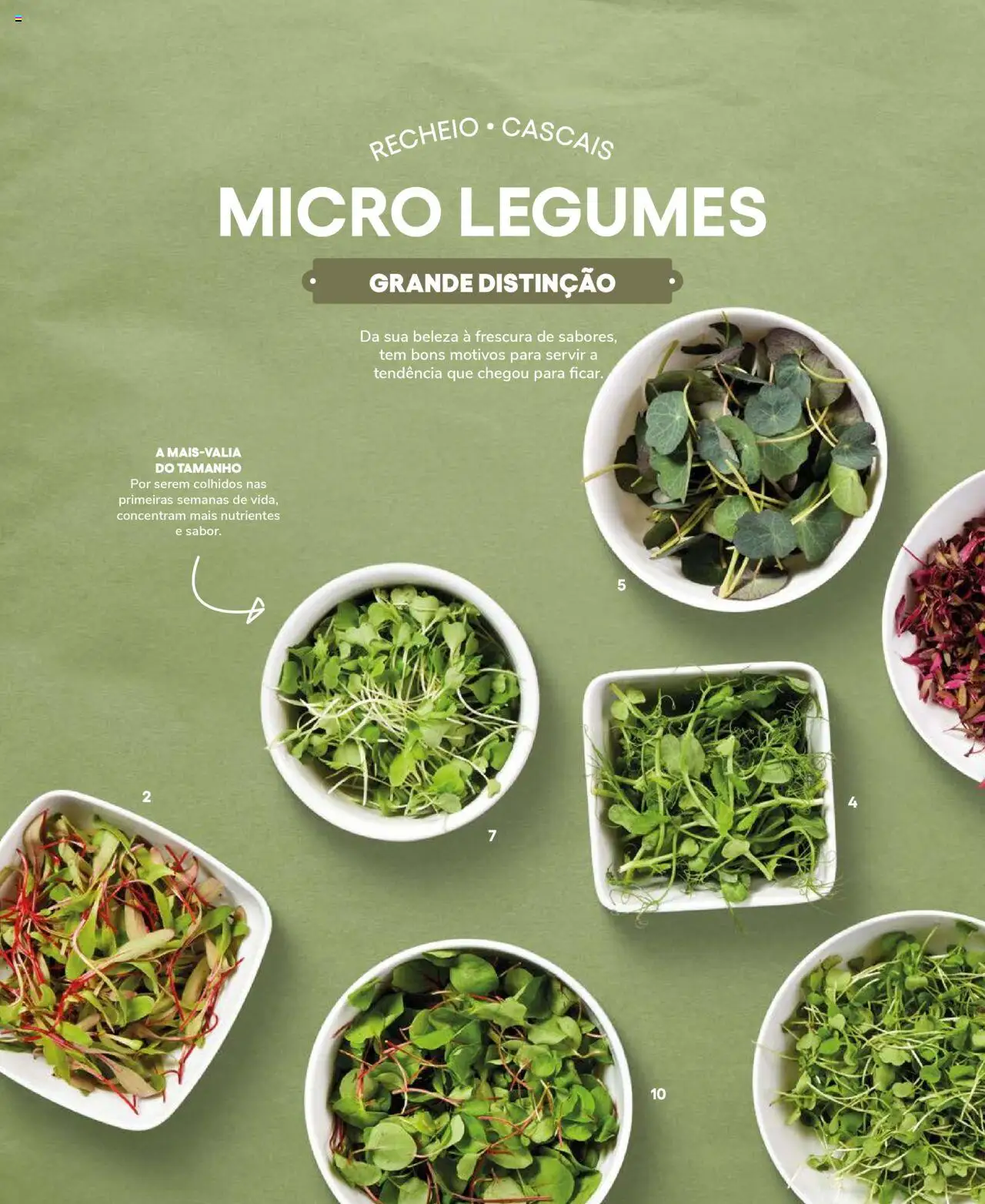 Recheio Frutas e Legumes │ válido de 19.09.2024 | Página: 50