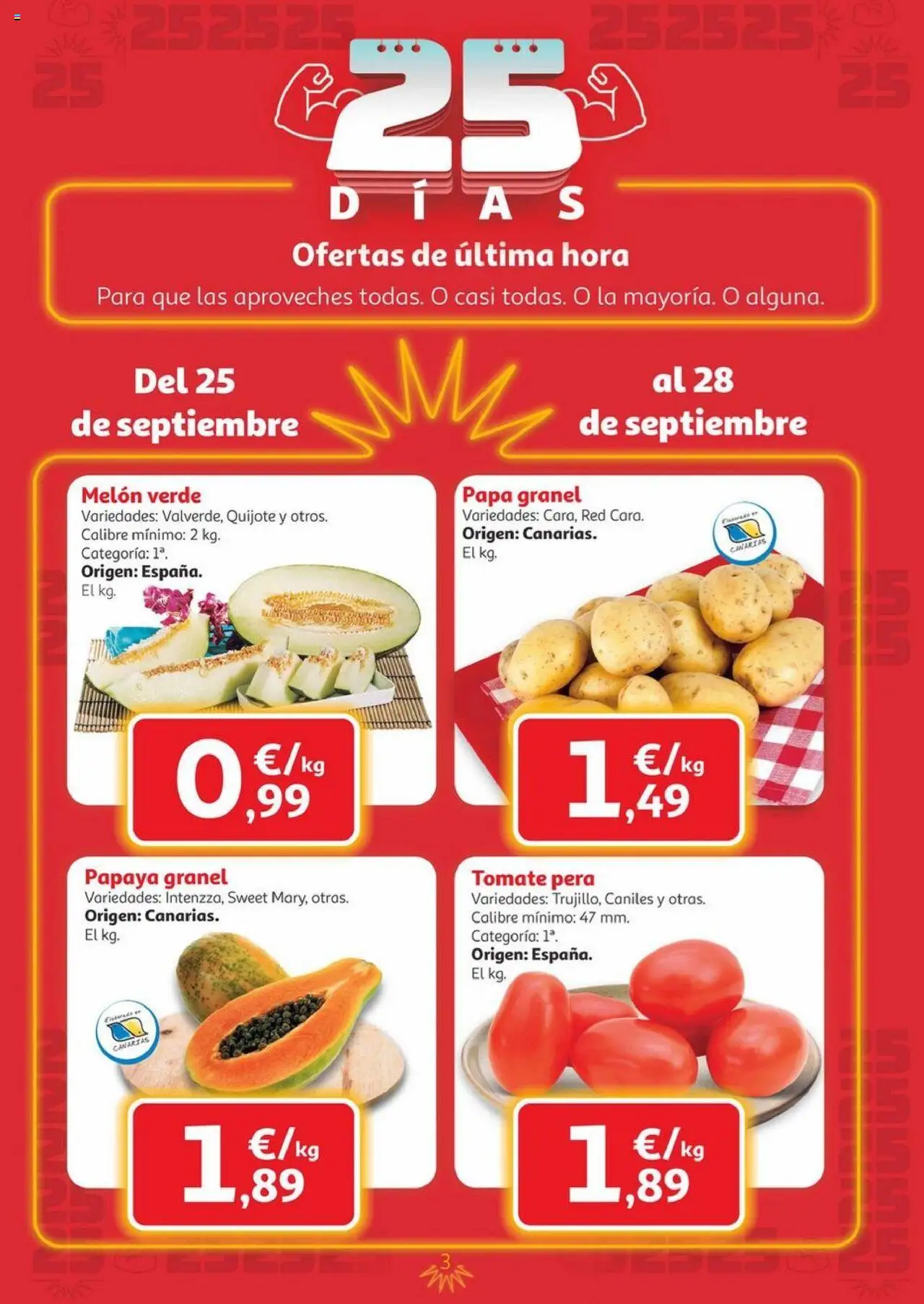 Alcampo - Canarias │ válido desde el 25.09.2025 | Página: 3 | Productos: Φορτιστής