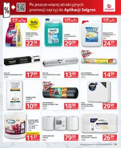 Pogląd oferty "Selgros cash&carry Gazetka - Oferta dla gastronomii" - ważna od 19.02.2026 | Strona: 15 | Produkty: Płyn do mycia szyb, Rolki, Papier do pieczenia, Torebki
