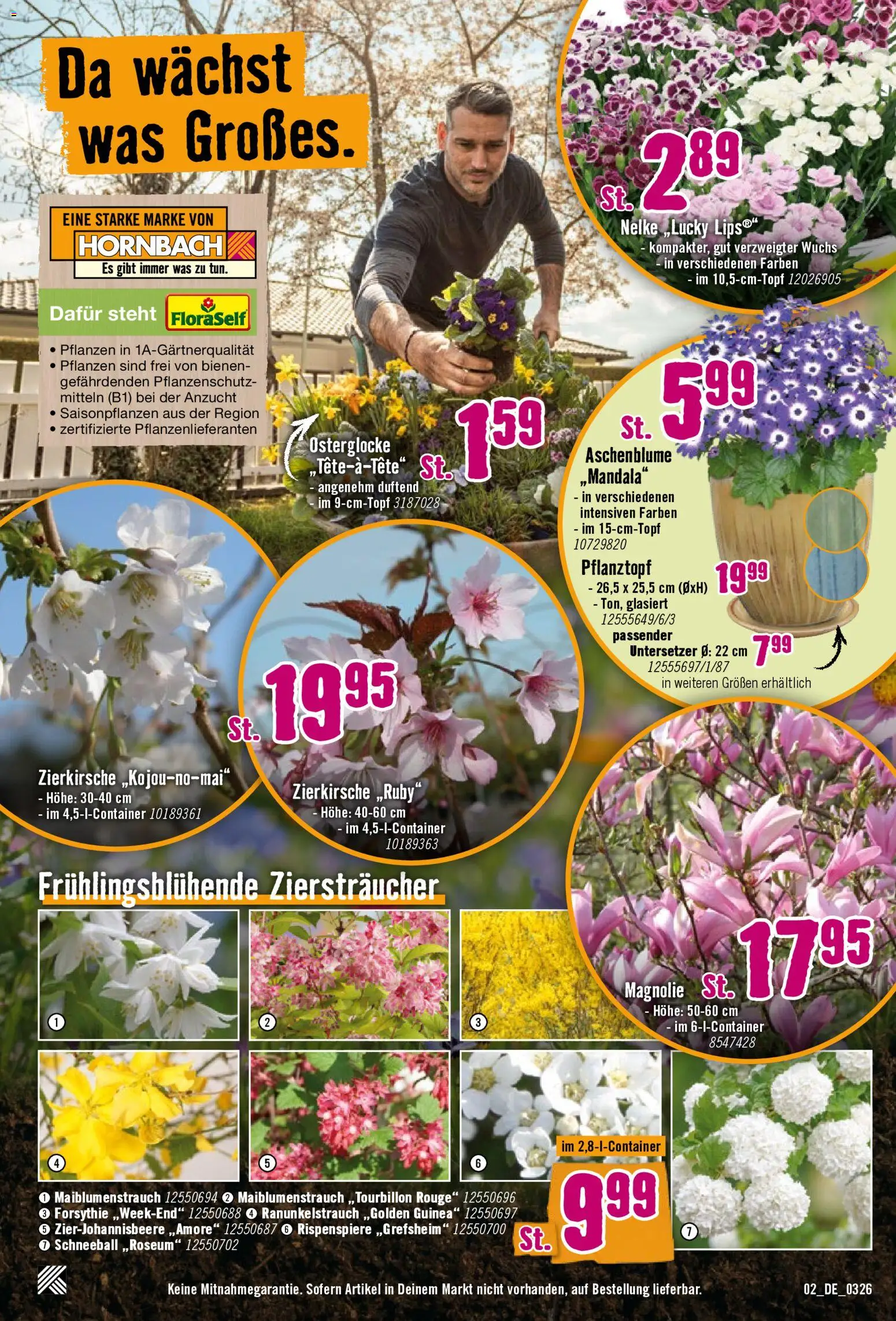 Hornbach Prospekt 	 – gültig ab 12.03.2026 | Seite: 2 | Produkte: Rouge