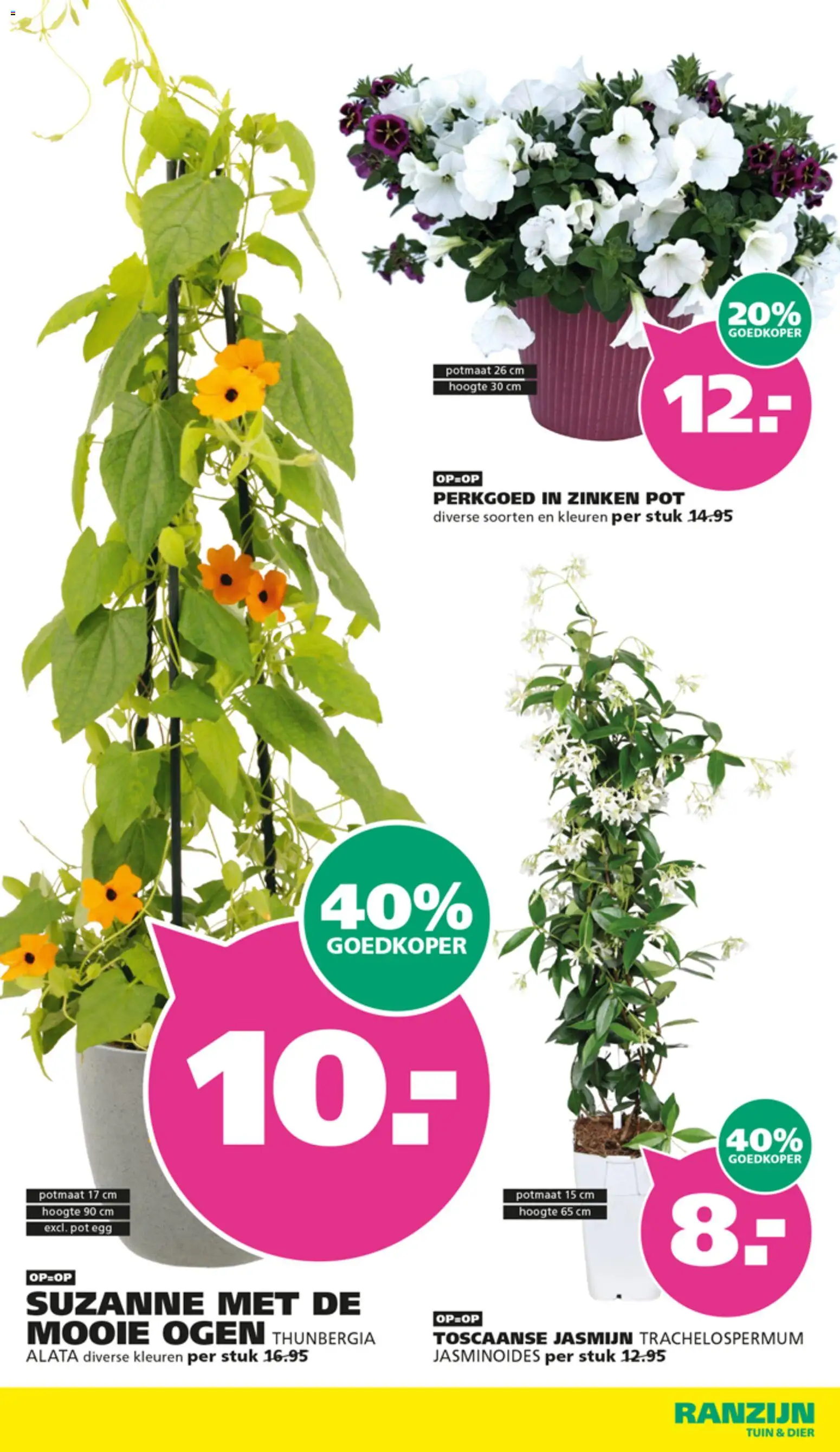 {H1} | Pagina: 2 | Producten: Pot