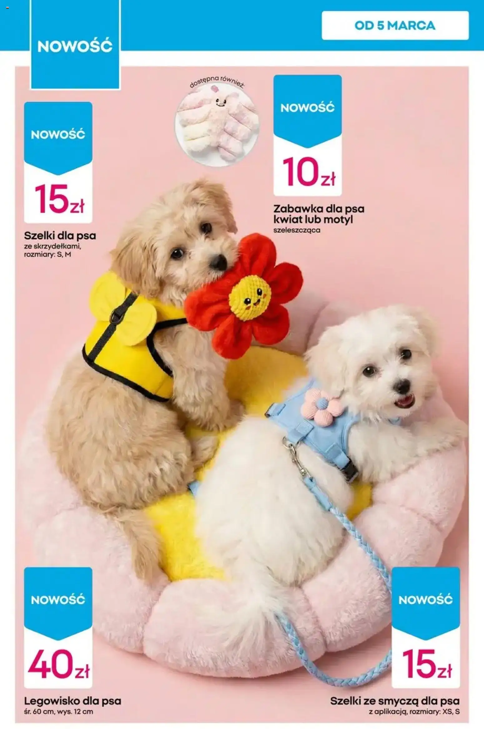 Pepco gazetka od 05.03.2026 | Strona: 10 | Produkty: Sweter, Sukienka