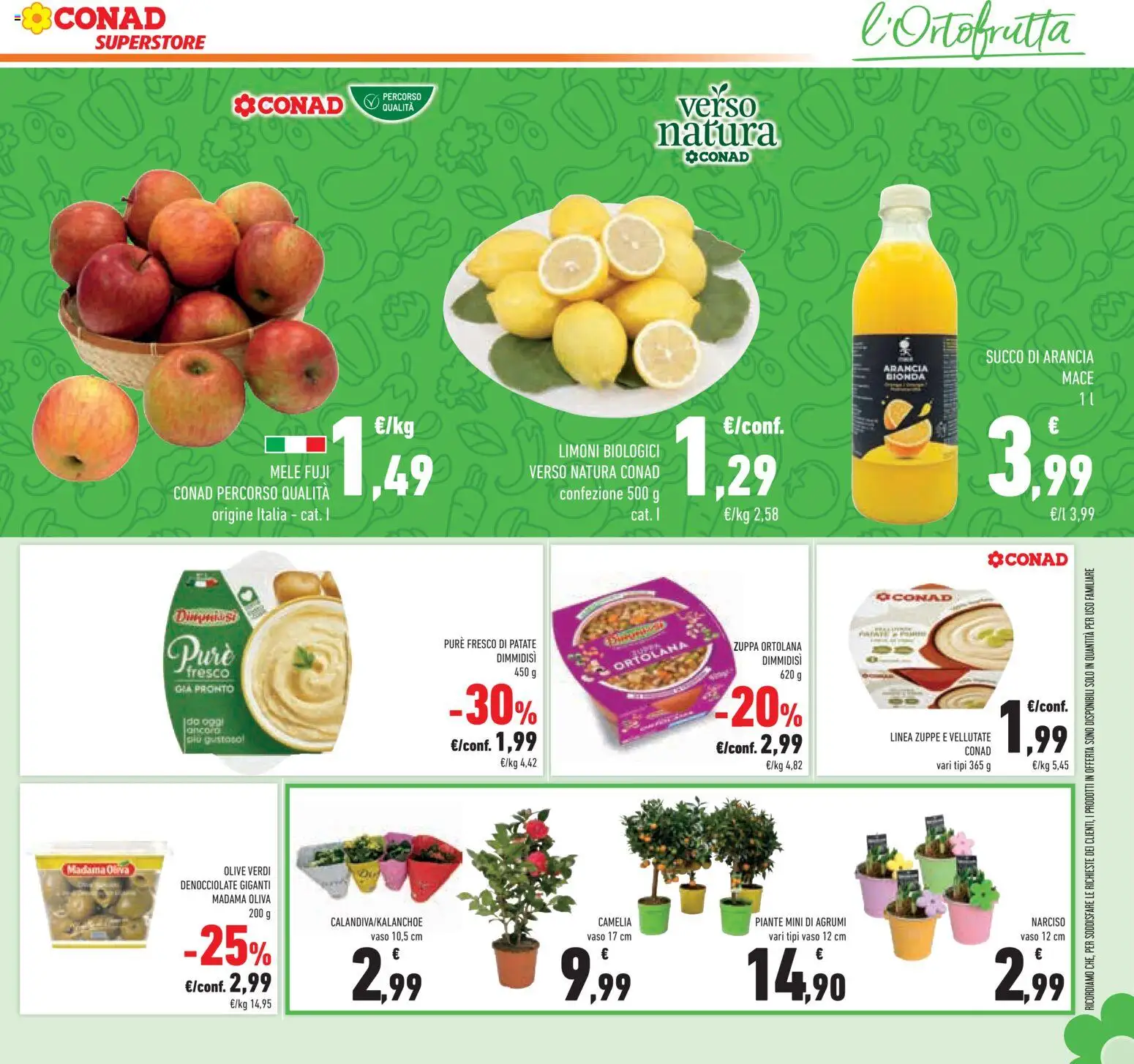 Volantino Conad del 14.01.2026 | Pagina: 13 | Prodotti: Patate, Olive, Agrumi, Arancia