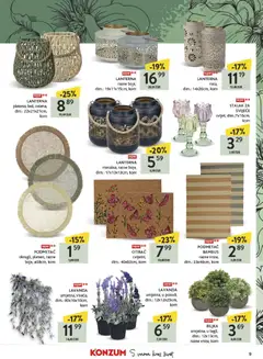 LAVANDA, umjetna, viseća, dim.: 80x10x10cm, kom - Pregled kataloga iz trgovine Konzum, vrijedi od 23.03.2026 | Stranica: 9