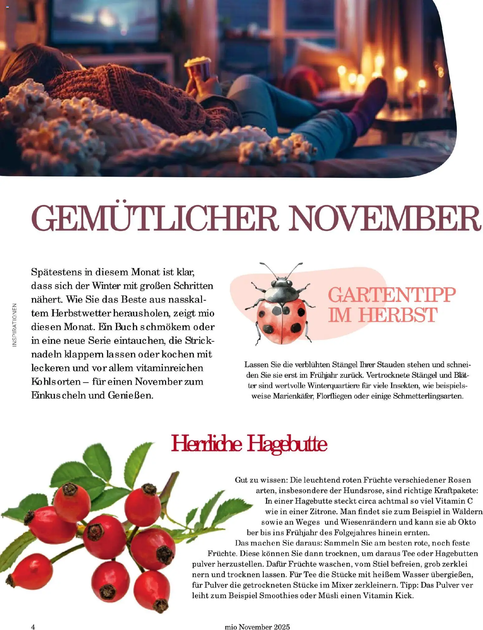 Globus Mio Magazin – gültig ab 01.11.2025 | Seite: 4 | Produkte: Musli, Mixer, Wasser, Tee