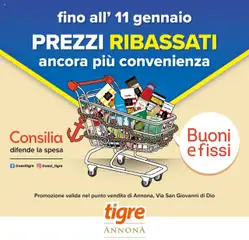 Anteprima del volantino Tigre Prezzi Ribassati catalogo valido a partire dal 15.10.2025