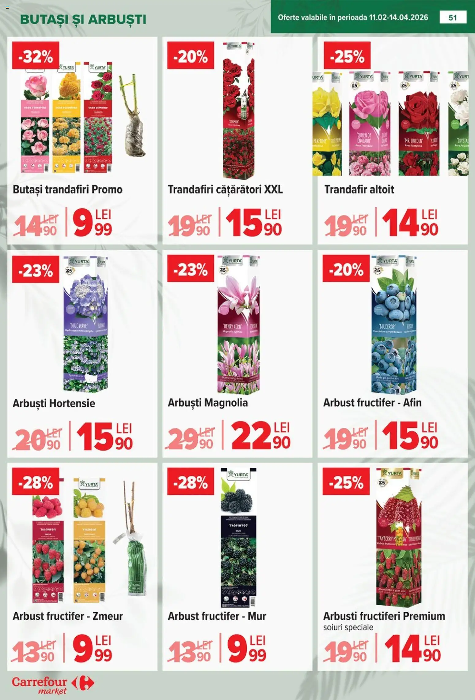 Noul catalog Carrefour – valabil de la 06.04.2026 | Pagină: 56 | Produse: Trandafir