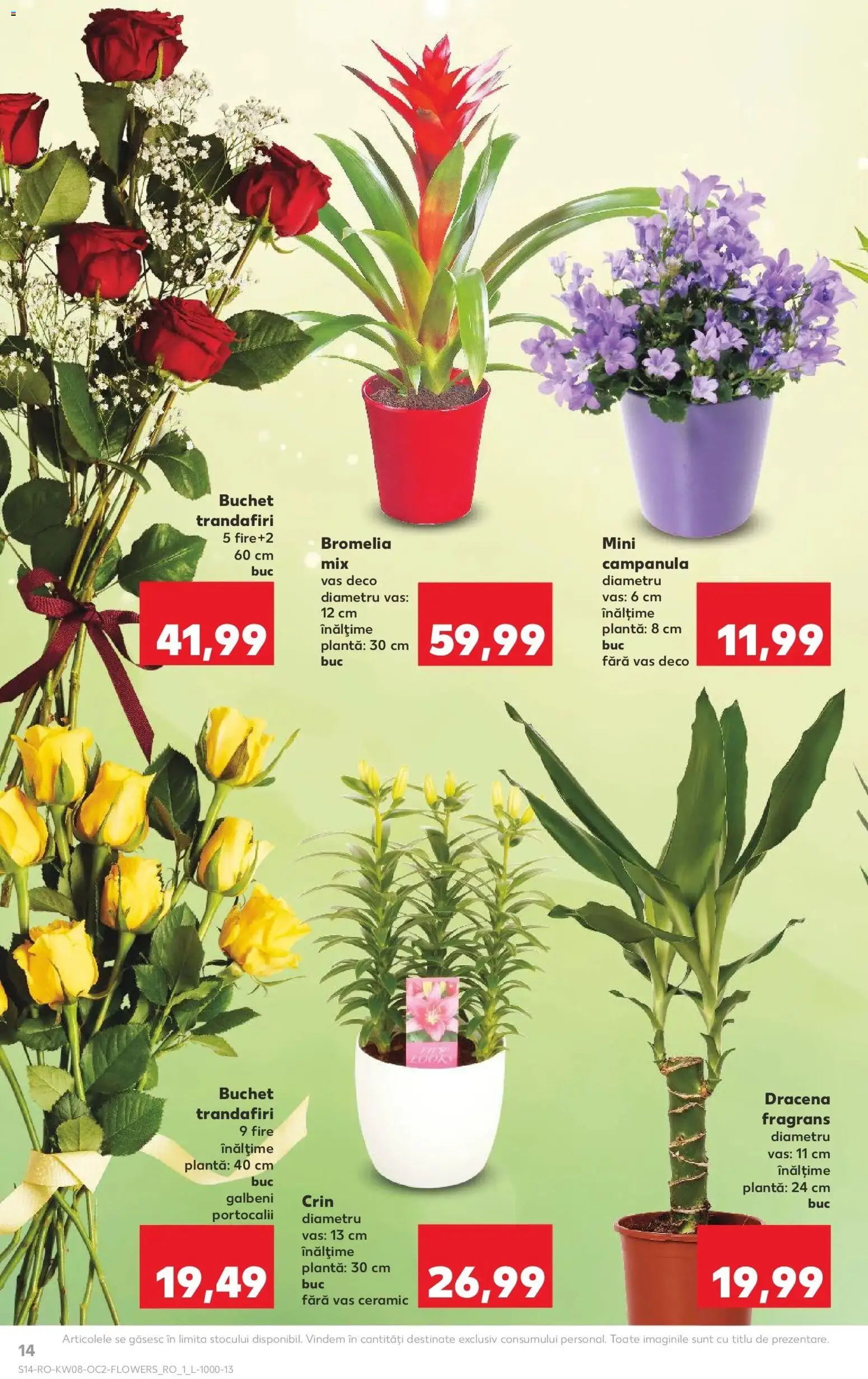 Noul catalog Kaufland – valabil de la 18.02.2026 | Pagină: 14 | Produse: Bromelia