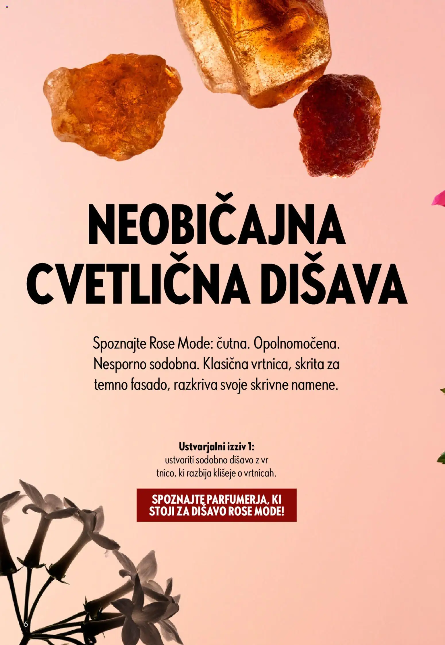 Novi Oriflame katalog ponudbe – veljaven od 22.04.2026 | Stran: 6 | Izdelki: Disava