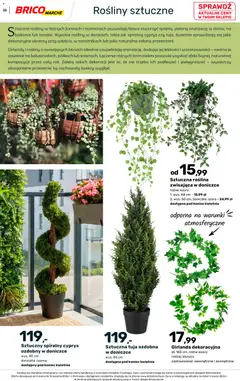 Pogląd oferty "Brico Marché gazetka - Wiosna" - ważna od 04.03.2026 | Strona: 35 | Produkty: Doniczka, Rosliny