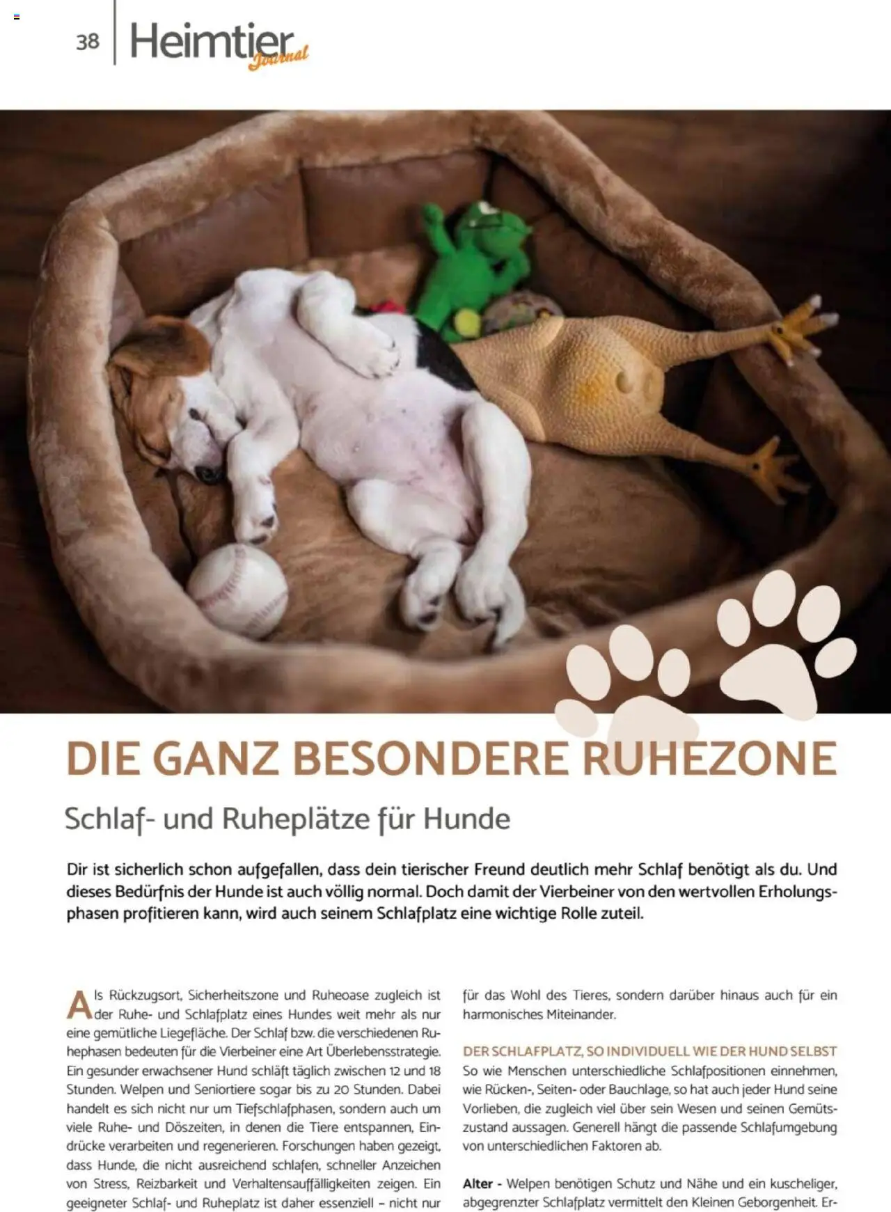 zookauf  Heimtier Journal - gültig ab dem 21.07.2025 | Seite: 38