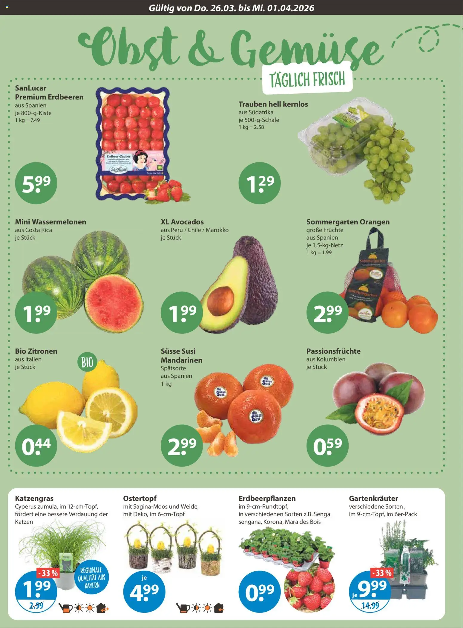 V-Markt Schwaben / Oberbayern – gültig ab 26.03.2026 | Seite: 4 | Produkte: Trauben, Orangen, Gemüse, Zitronen