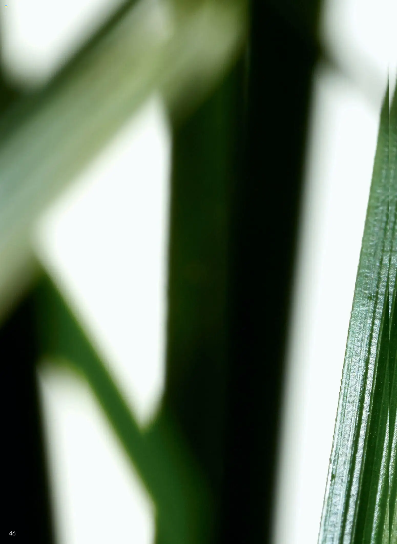 {H1} | Lehekülg: 46