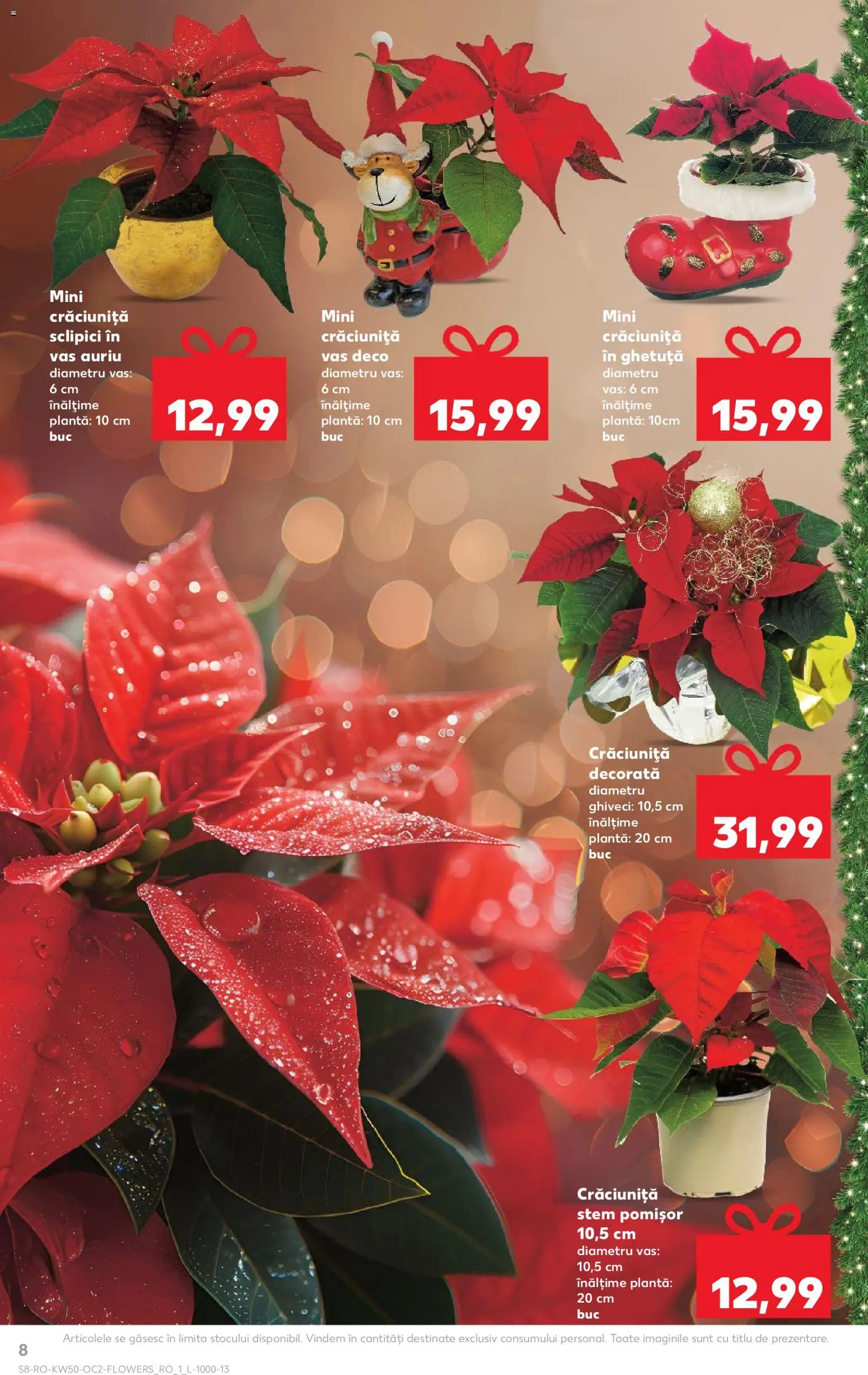 Noul catalog Kaufland – valabil de la 10.12.2025 | Pagină: 8 | Produse: Ghiveci