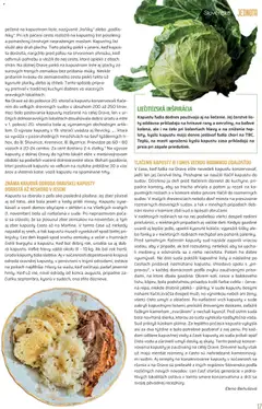 COOP Jednota leták platný od 01.11.2025 | Strana: 17