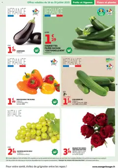  | Page: 19 | Produits: Concombre, Raisin, Plantes, Fleurs et plantes