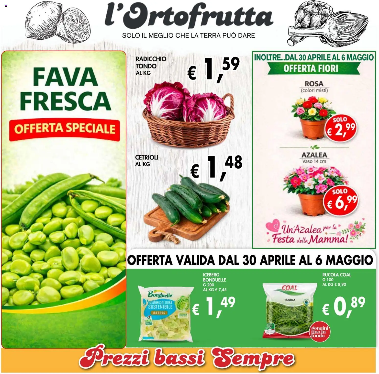 Volantino Coal del 23.04.2026 | Pagina: 3 | Prodotti: Rucola, Cetrioli, Vaso, Terra