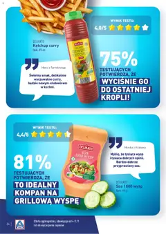 Pogląd oferty "Ketchup curry, Opak. 875 ml" - ważna od 04.11.2024 | Strona: 24