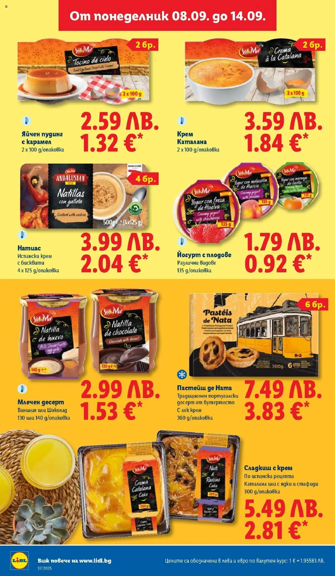 {H1} | Страница: 24 | Продукти: Шоколад, Млечен десерт, Calvados, Бисквити
