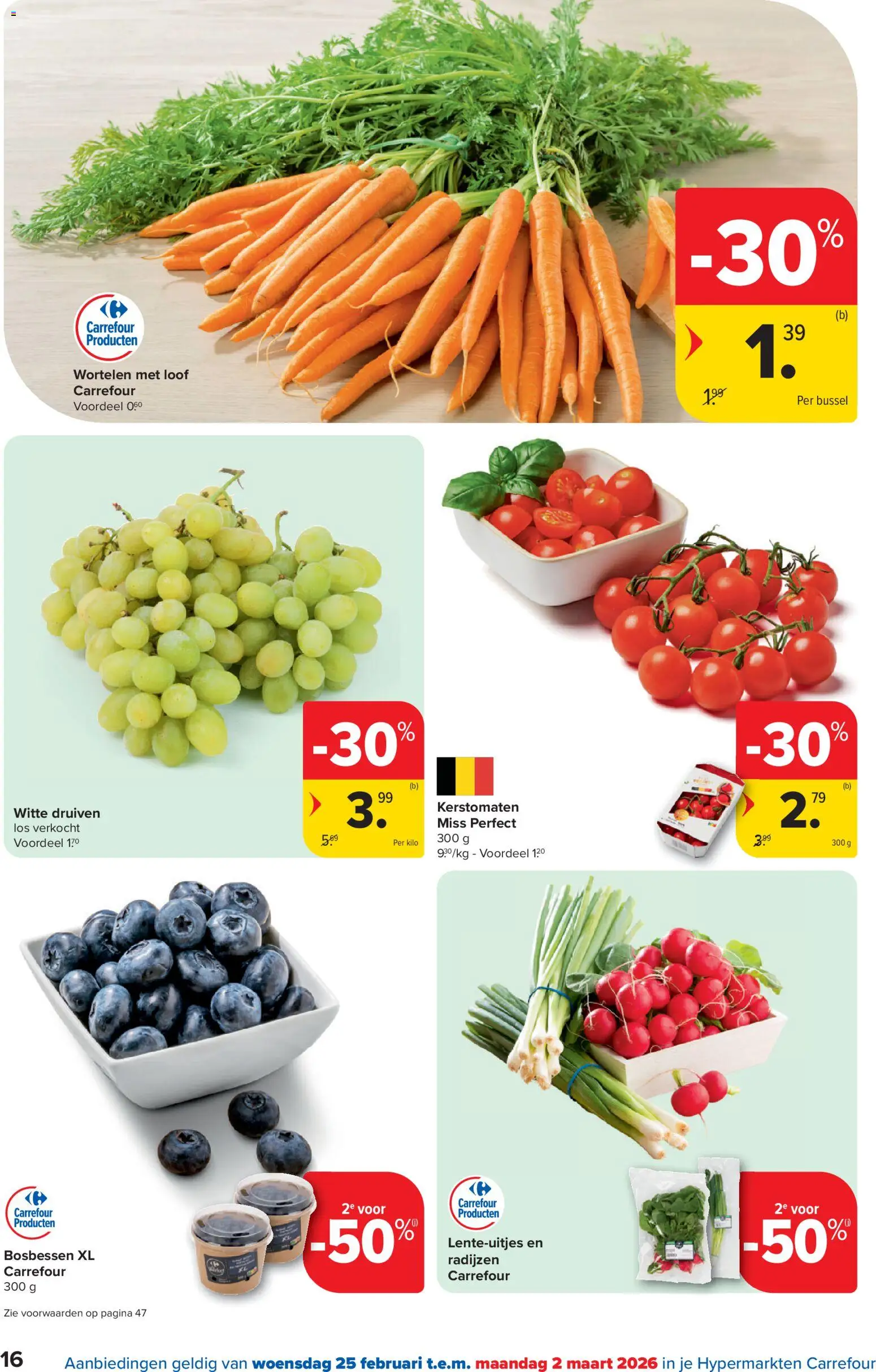 {H1} | Pagina: 16 | Producten: Druiven, Bosbessen, Wortelen