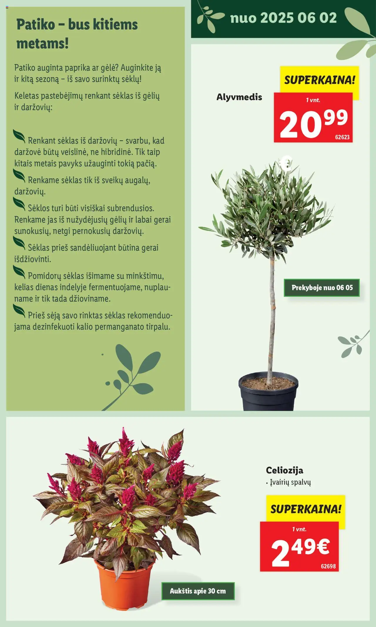 LIDL leidinys - Švenčiame sodą│galioja nuo 12.05.2025 | Puslapis: 25 | Prekių: Paprika, Sėklos