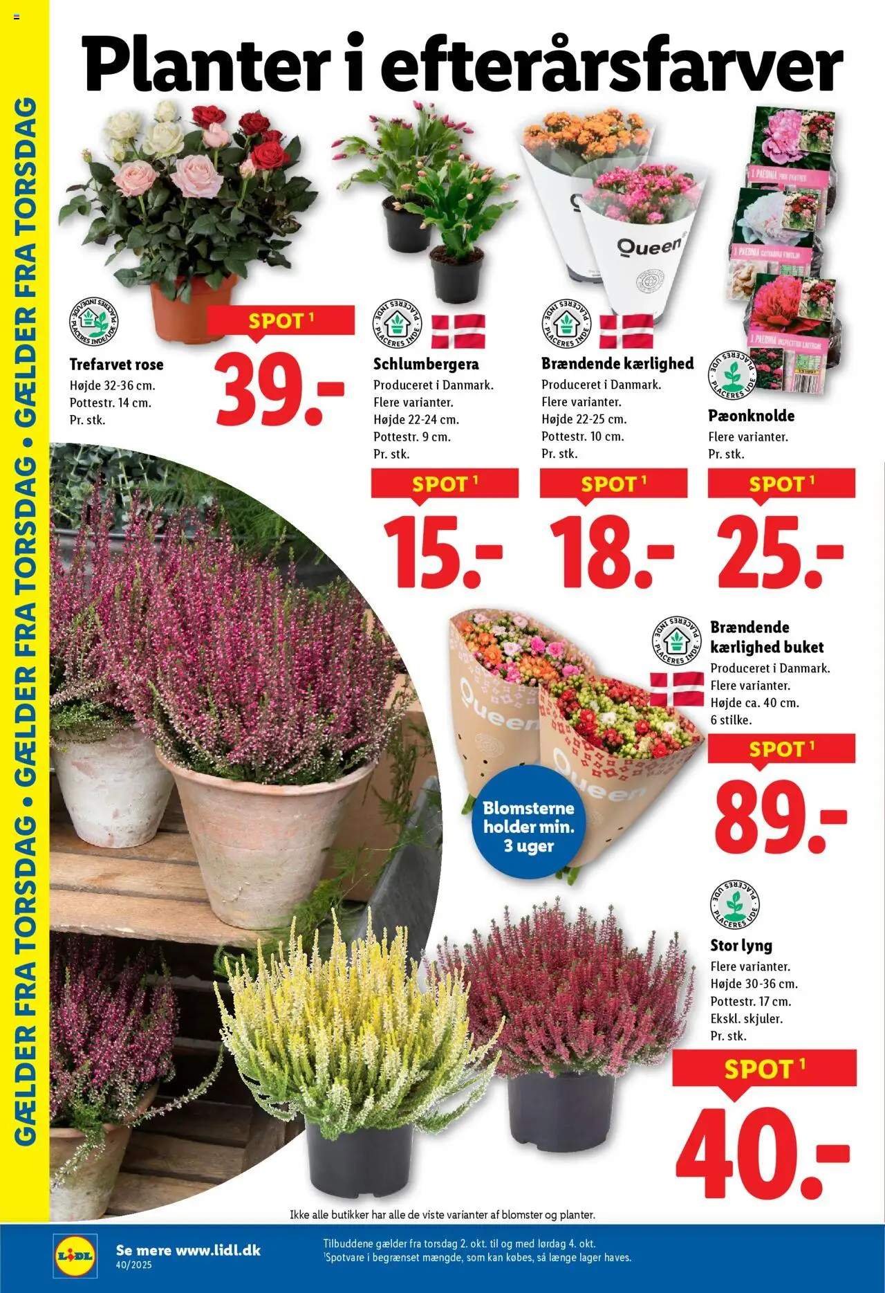 Lidl tilbudsavis – gyldig fra 02.10.2025 | Side: 10 | Produkter: Søm