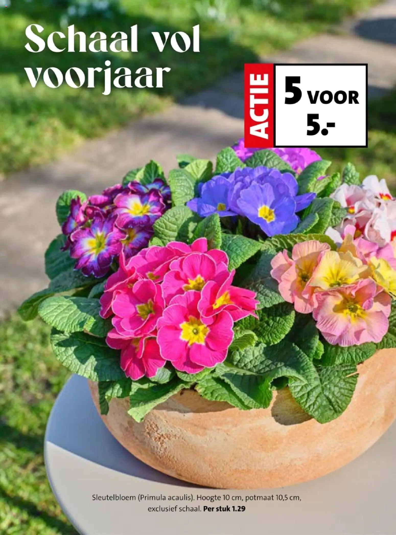 {H1} | Pagina: 15 | Producten: Schaal