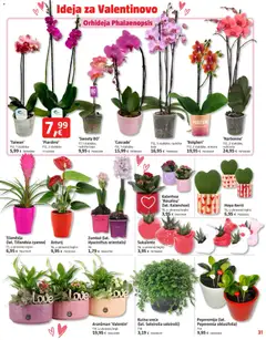 Bauhaus - Katalog - Pregled kataloga iz trgovine Bauhaus, vrijedi od 29.01.2026 | Stranica: 31