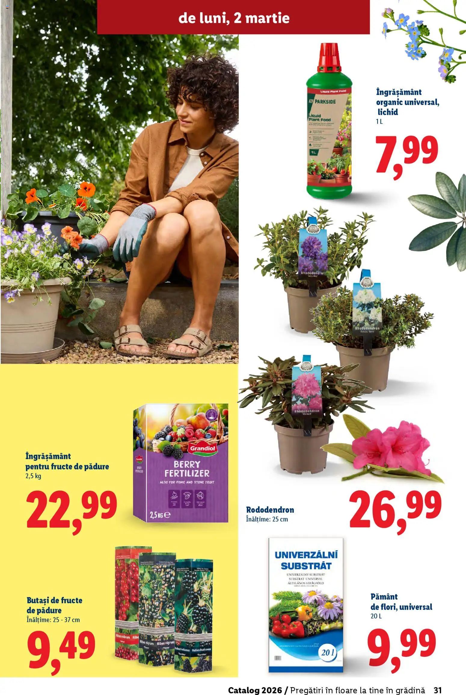 Noul catalog Lidl – valabil de la 19.02.2026 | Pagină: 31 | Produse: Fructe