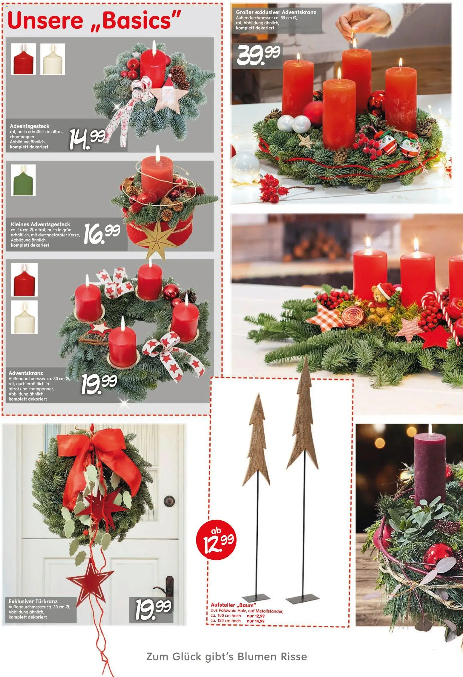 Blumen Risse Prospekt Blumenmärkte – gültig ab 13.11.2025 | Seite: 2 | Produkte: Blumen