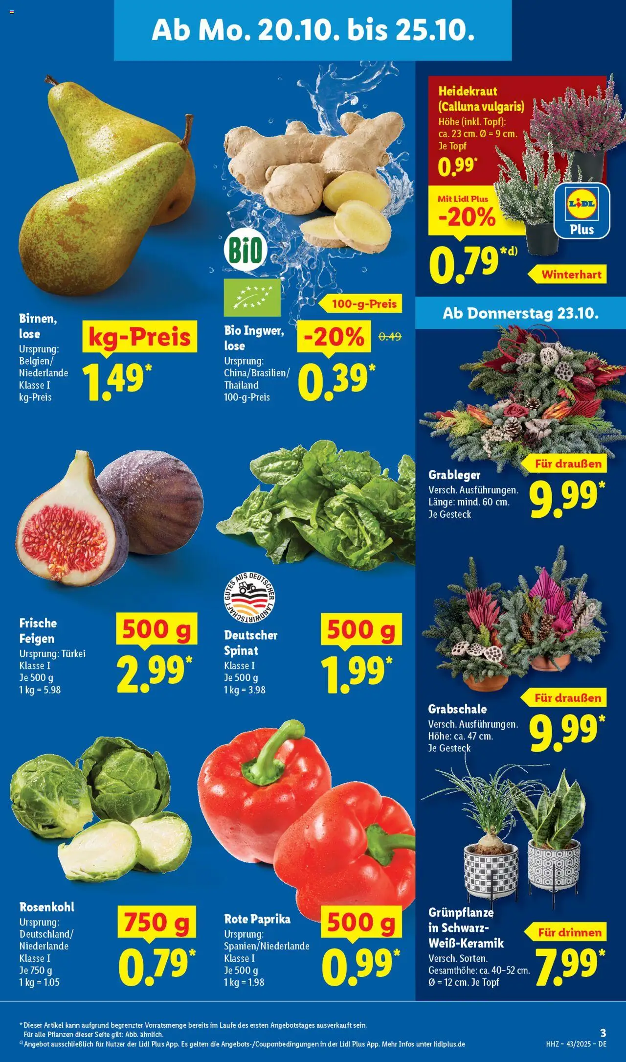 Lidl Prospekt Bernsdorf – gültig ab 20.10.2025 | Seite: 3 | Produkte: Paprika