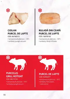 Ofertele Selgros valabile de la 27.04.2023 | Pagină: 90