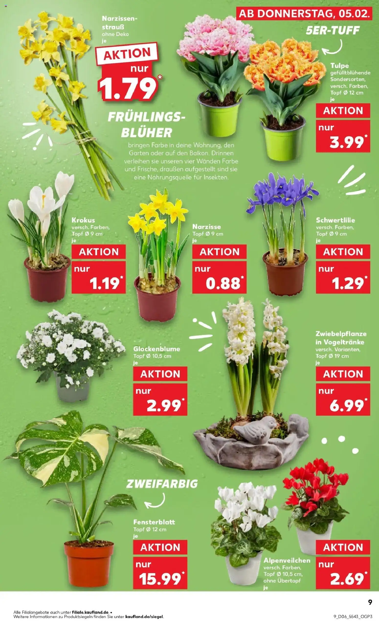 Kaufland prospekt Ahlen	 – gültig ab 09.02.2026 | Seite: 9