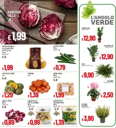 Volantino Galassia del 08.09.2025 | Pagina: 5 | Prodotti: Valeriana, Crema, Pomodori, Funghi