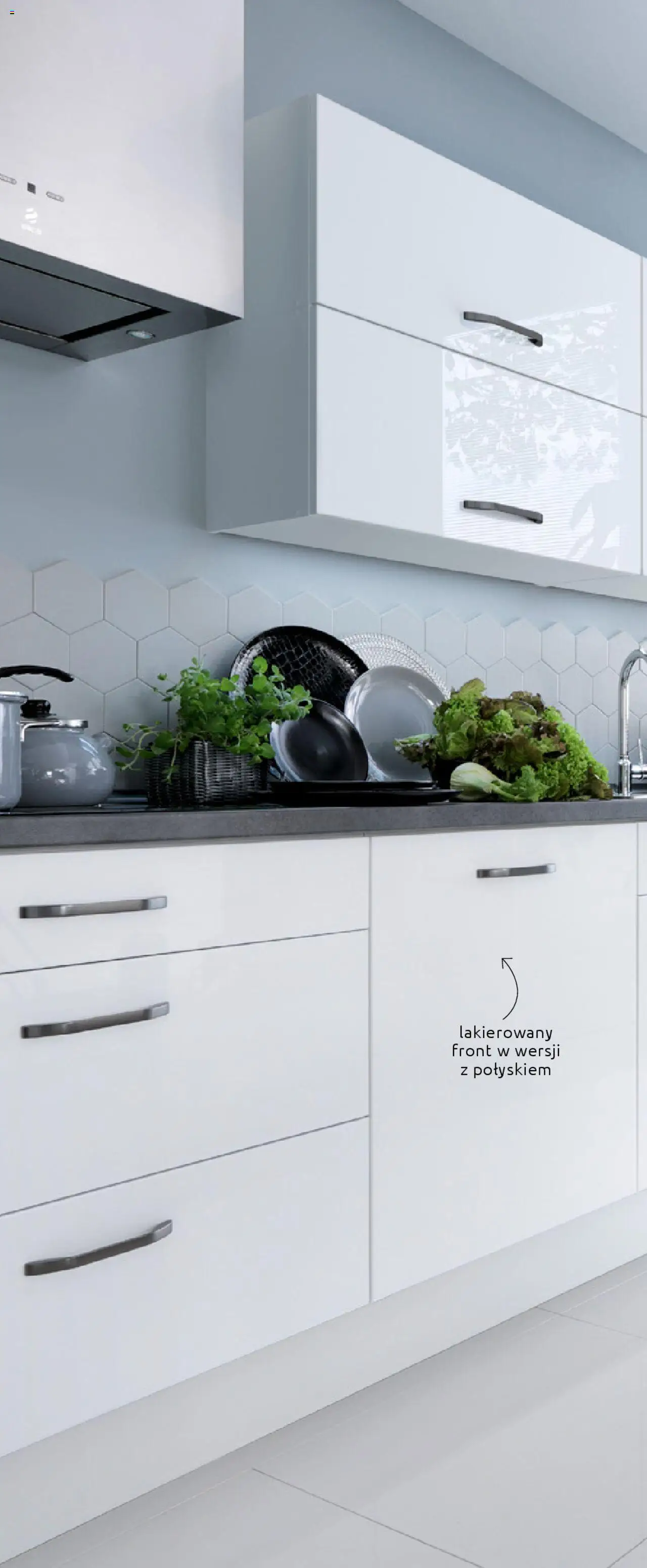 Black Red White promocje - Kuchnie od 18.06.2025 | Strona: 67